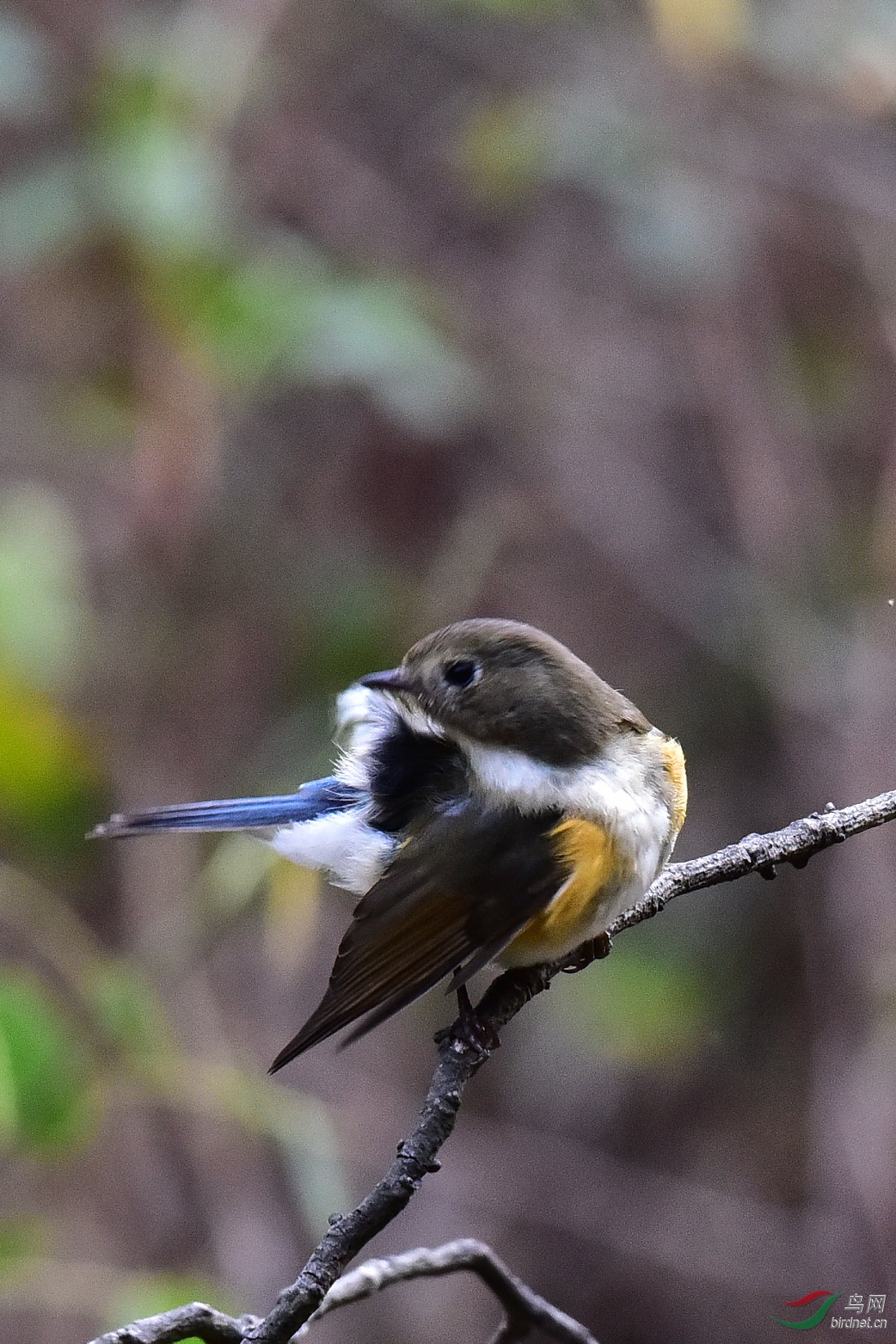 DSC_0369.JPG