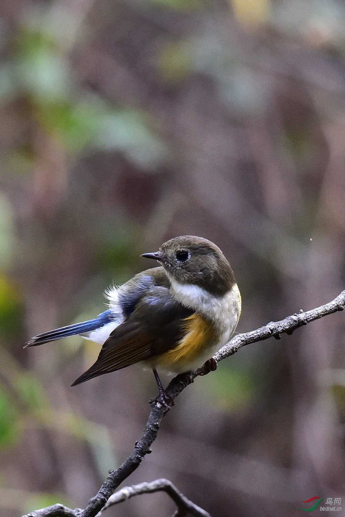 DSC_0370.JPG