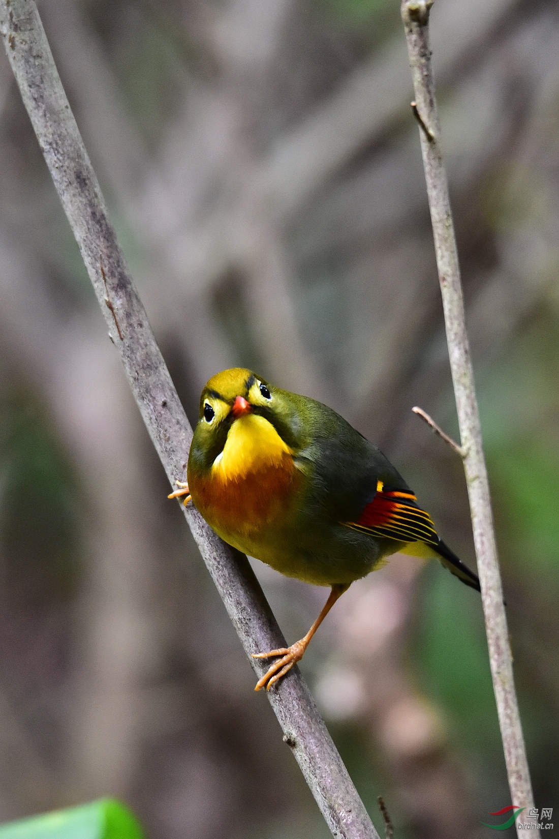 DSC_0509.JPG