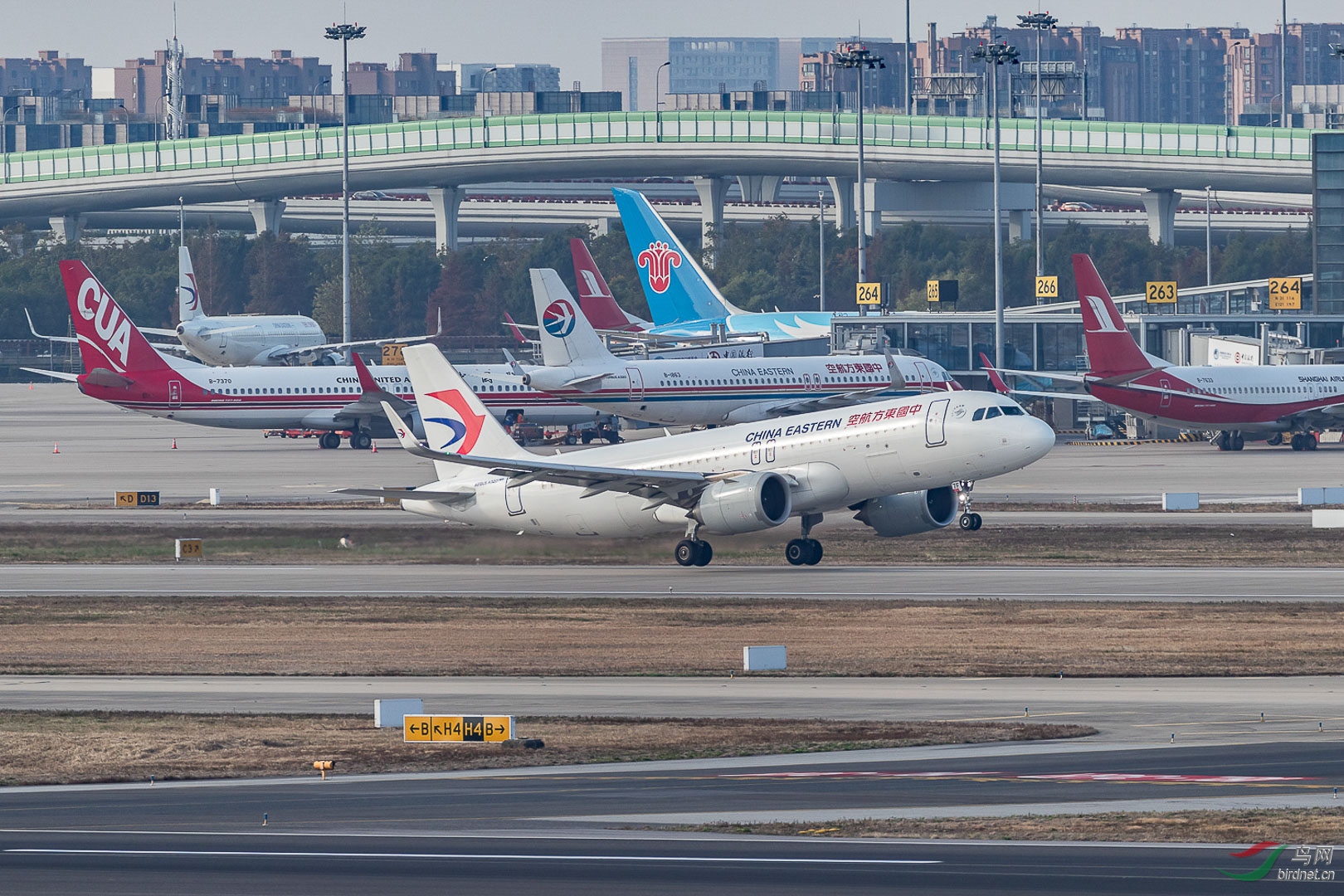 12-06-6602-2.jpg