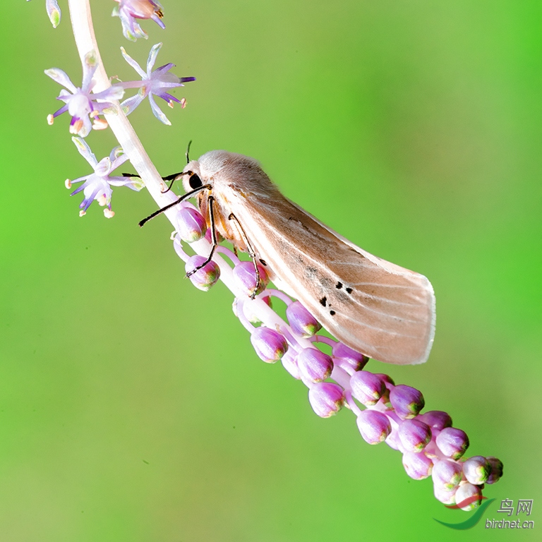 DSC_1831.2.jpg