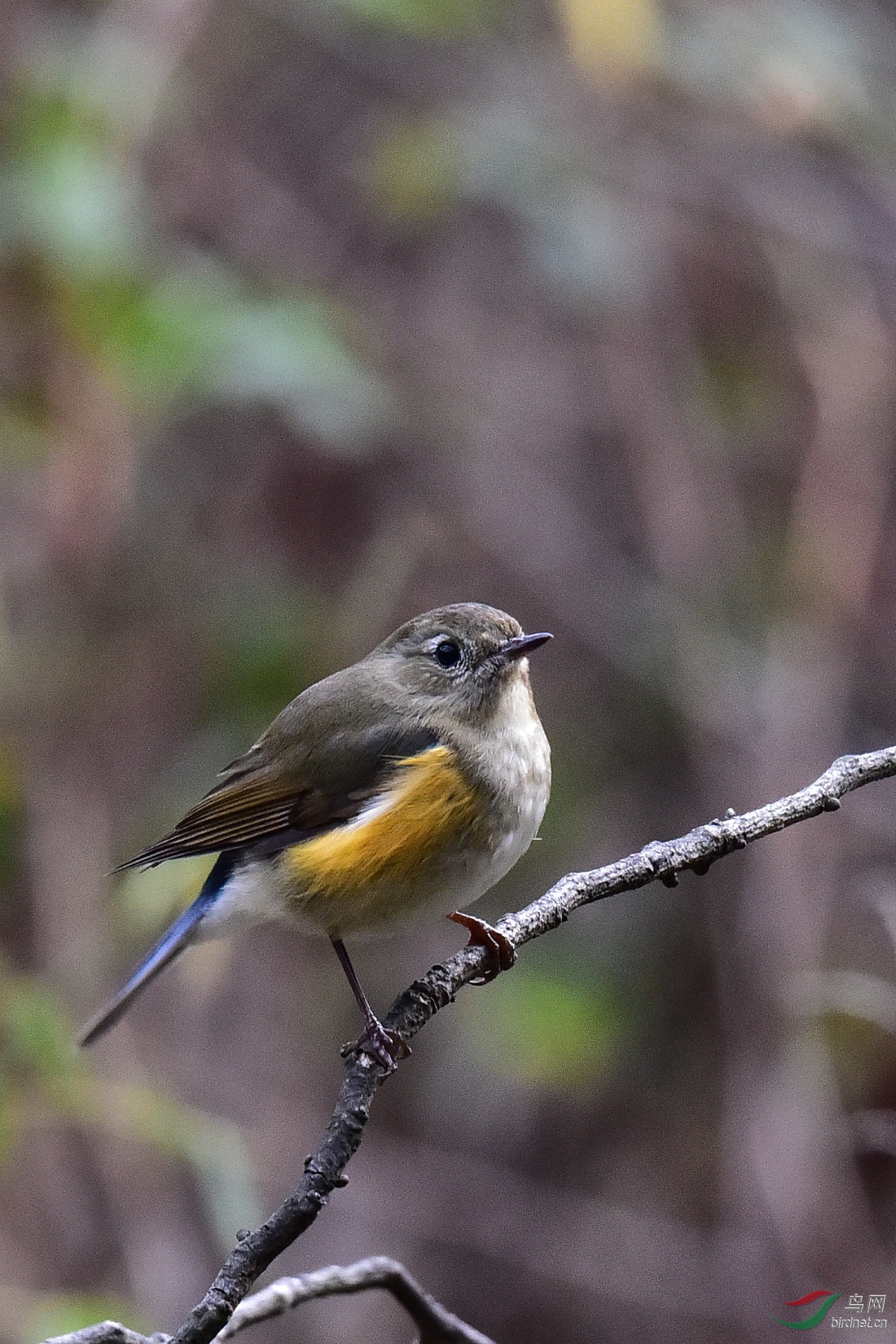 DSC_0363.JPG