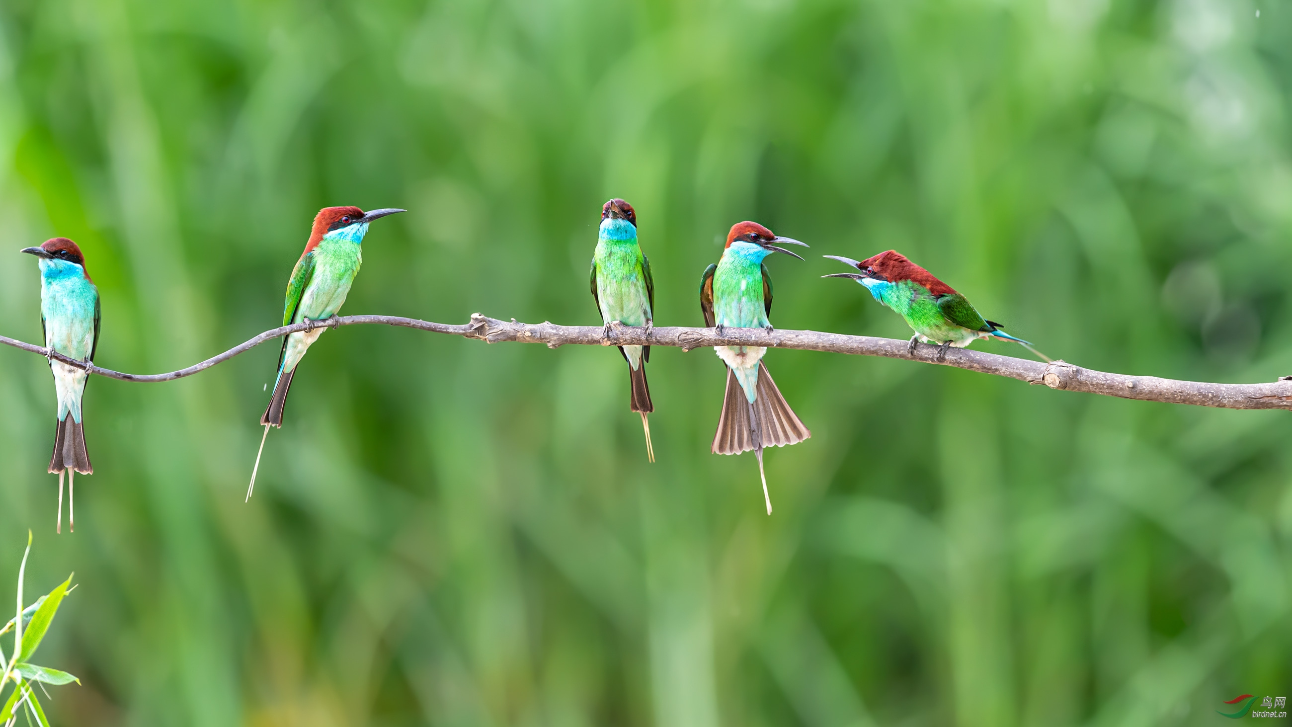 _DSC3958_��ͼ��.jpg