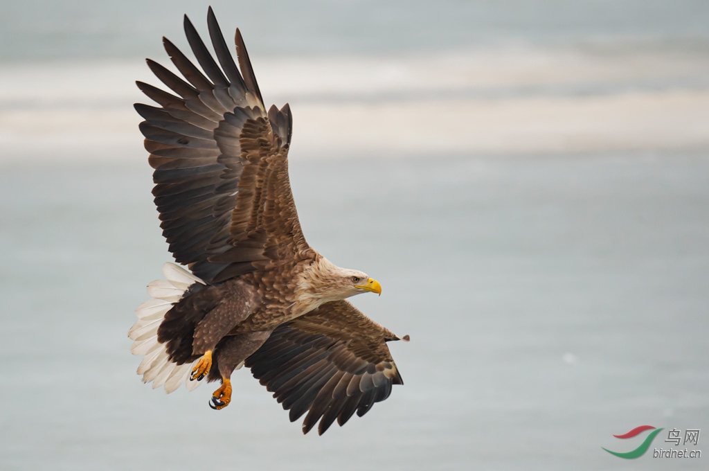 DSC_2181-0.jpg