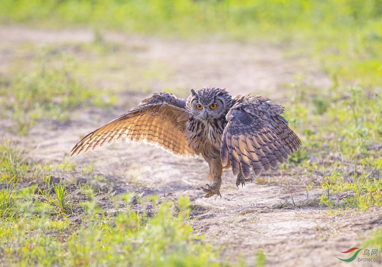 С��������