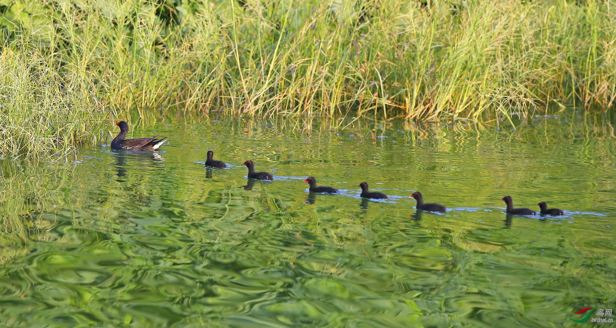 �������� ��ʦ�����ں���ʡ ����� ������ ����·�ֵ�.jpg