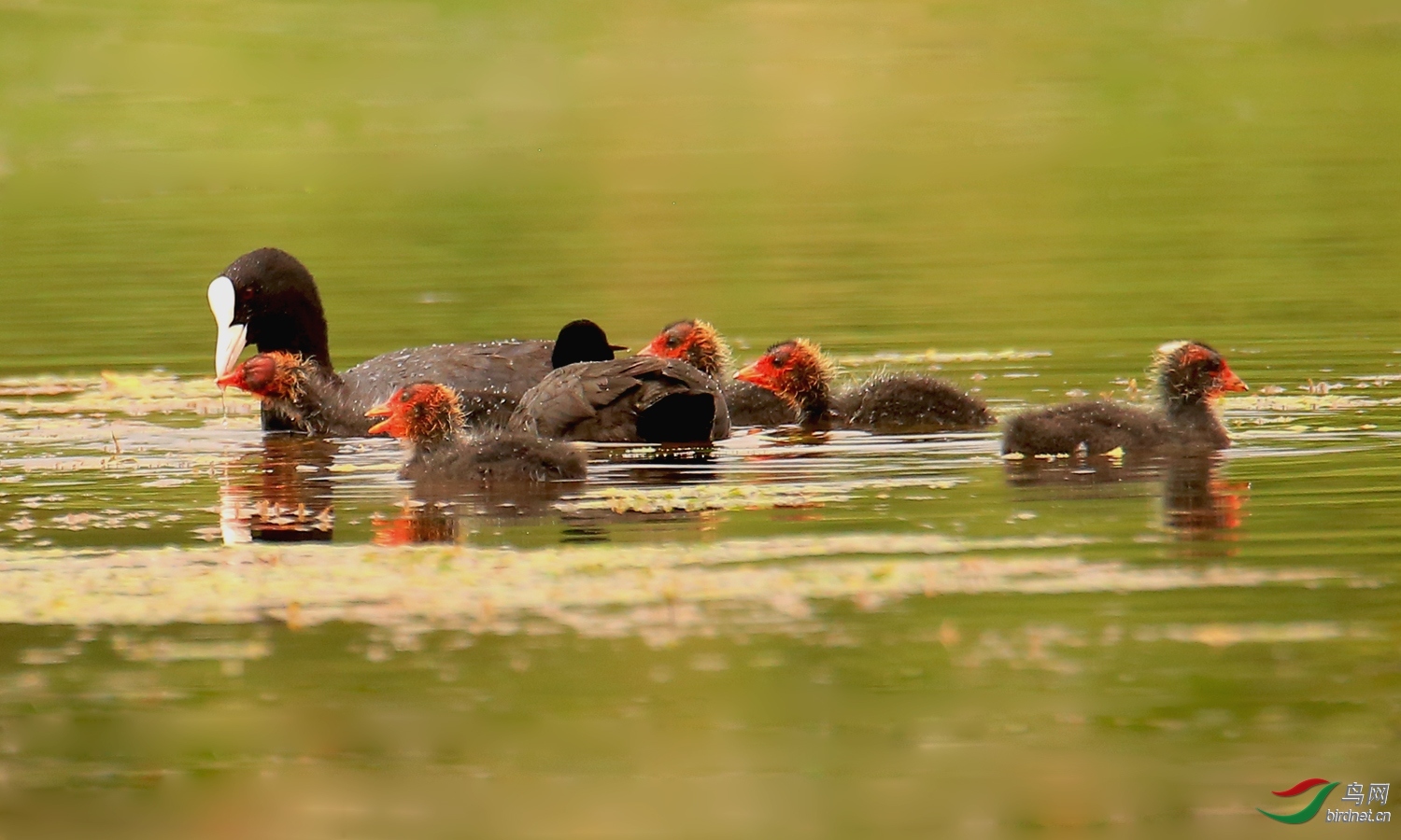 ����57 ��ʦ�����ڼ���ʡ ������ �Ϲ��� ��ǽֵ�.jpg