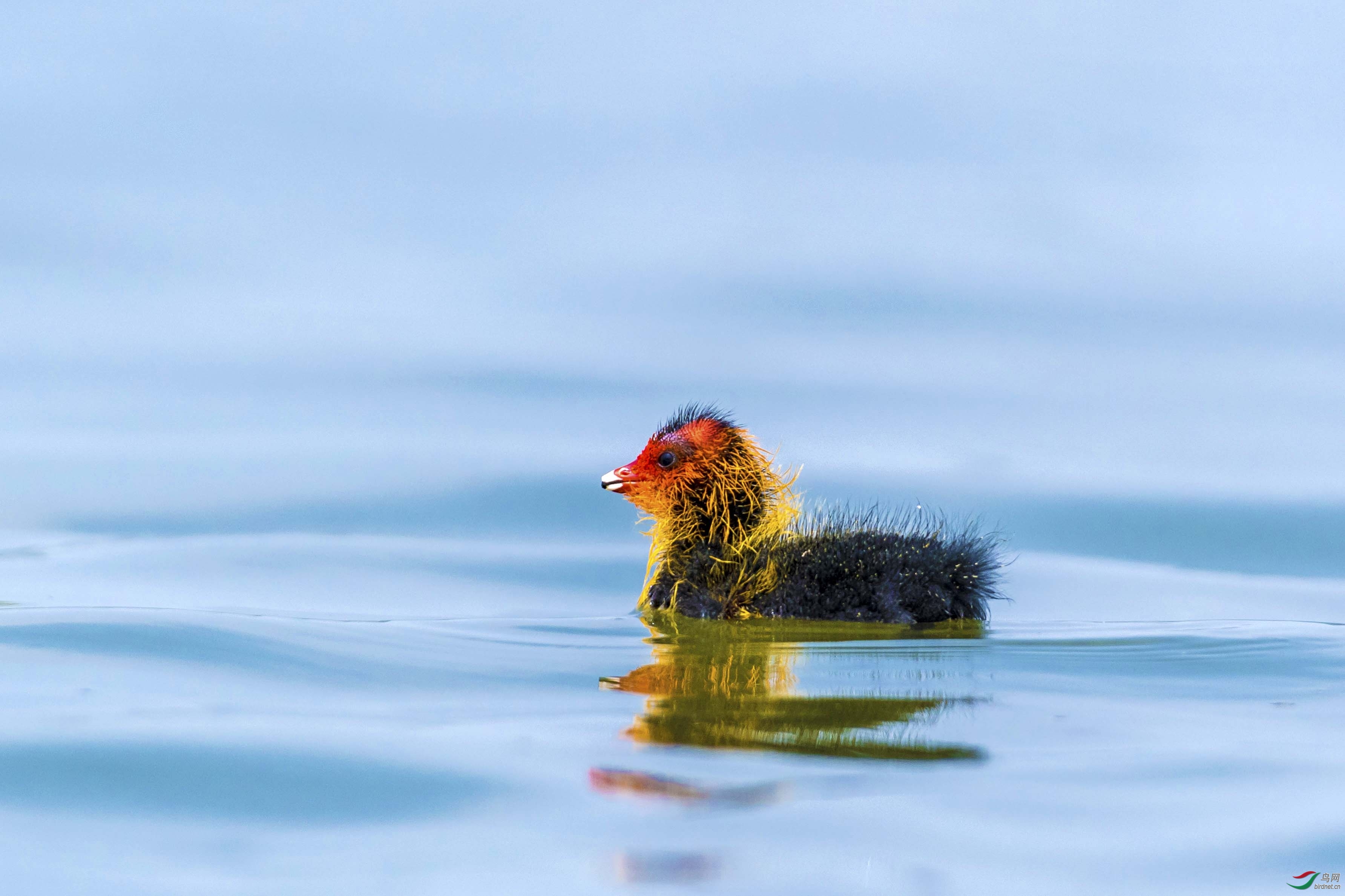 �������� ��ʦ�����ںӱ�ʡ �żҿ��� ������.jpg