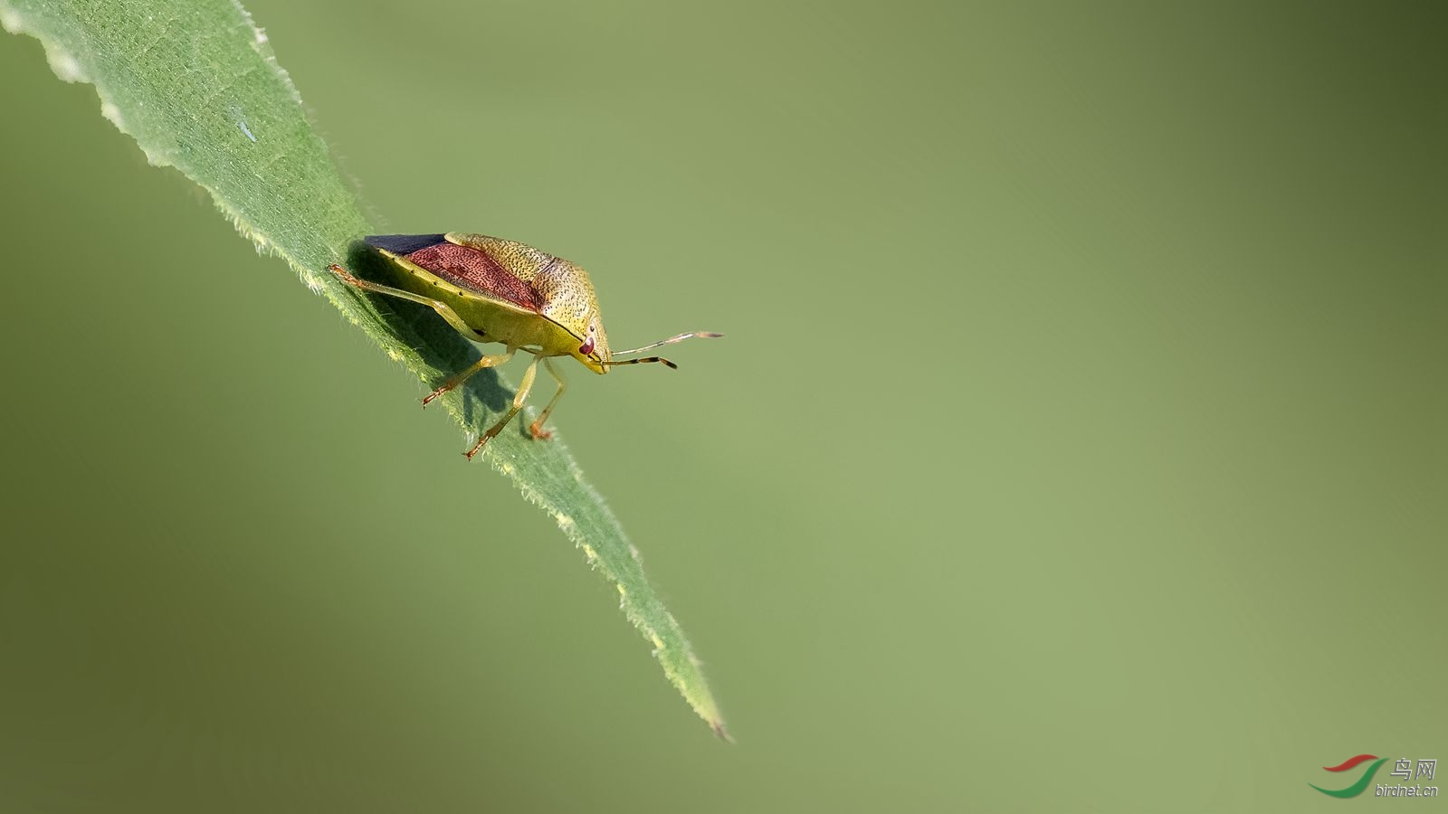 7G9A2102-1_����.jpg