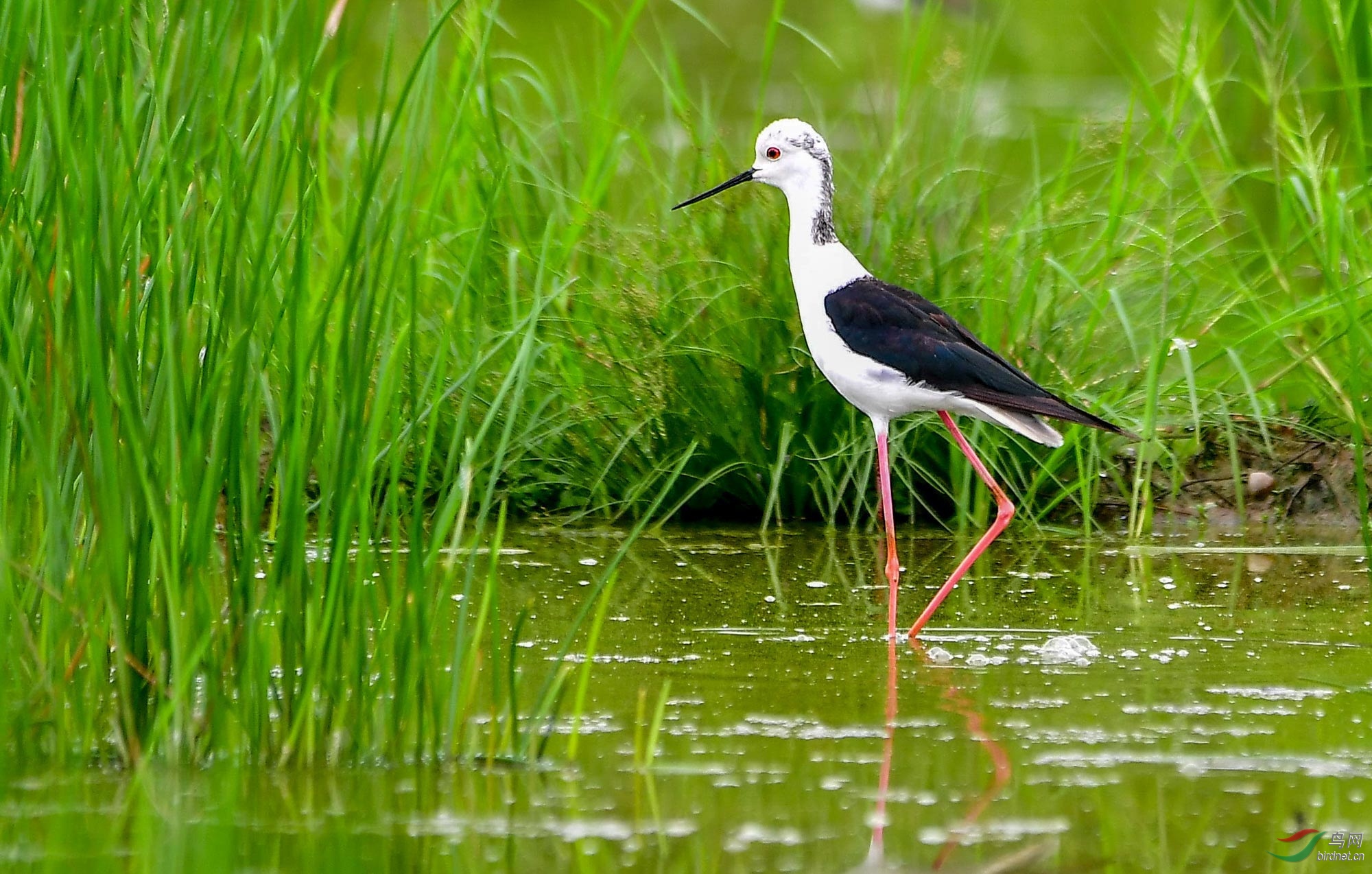 DSC_6797_���� .jpg