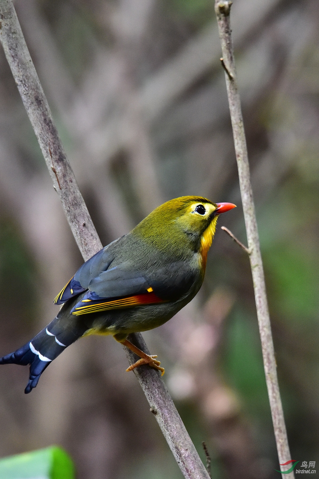 DSC_0527.JPG