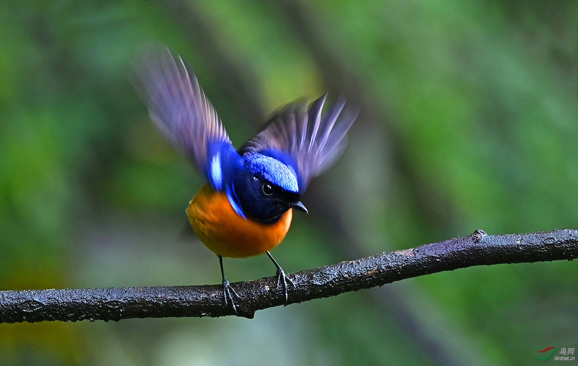 �ظ������l4586CM -.jpg