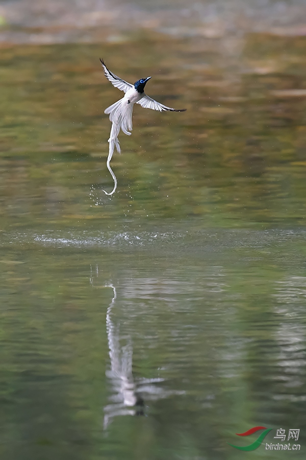 DSC_0226_DxOa.jpg
