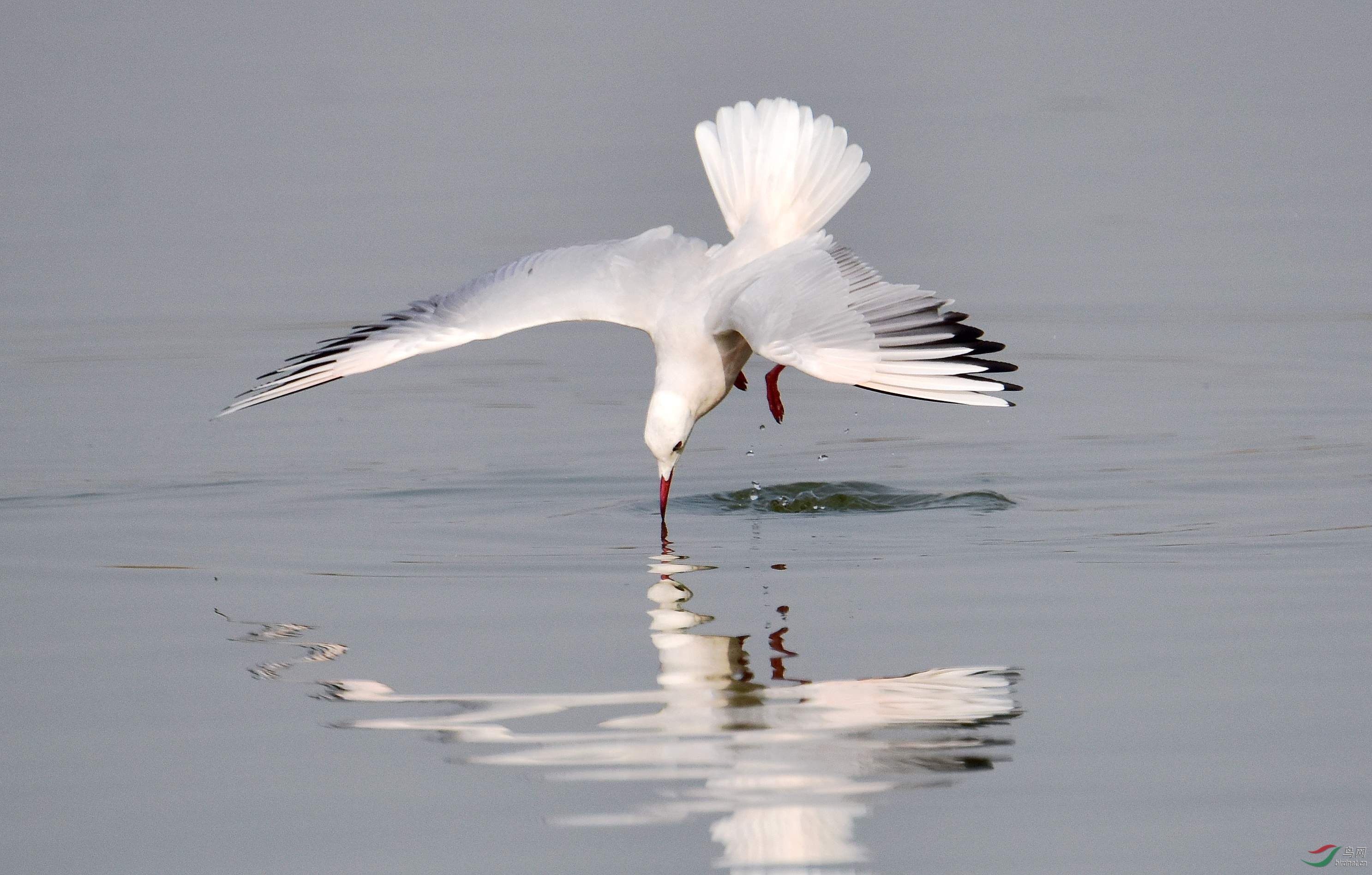 DSC_4171_conew4.jpg