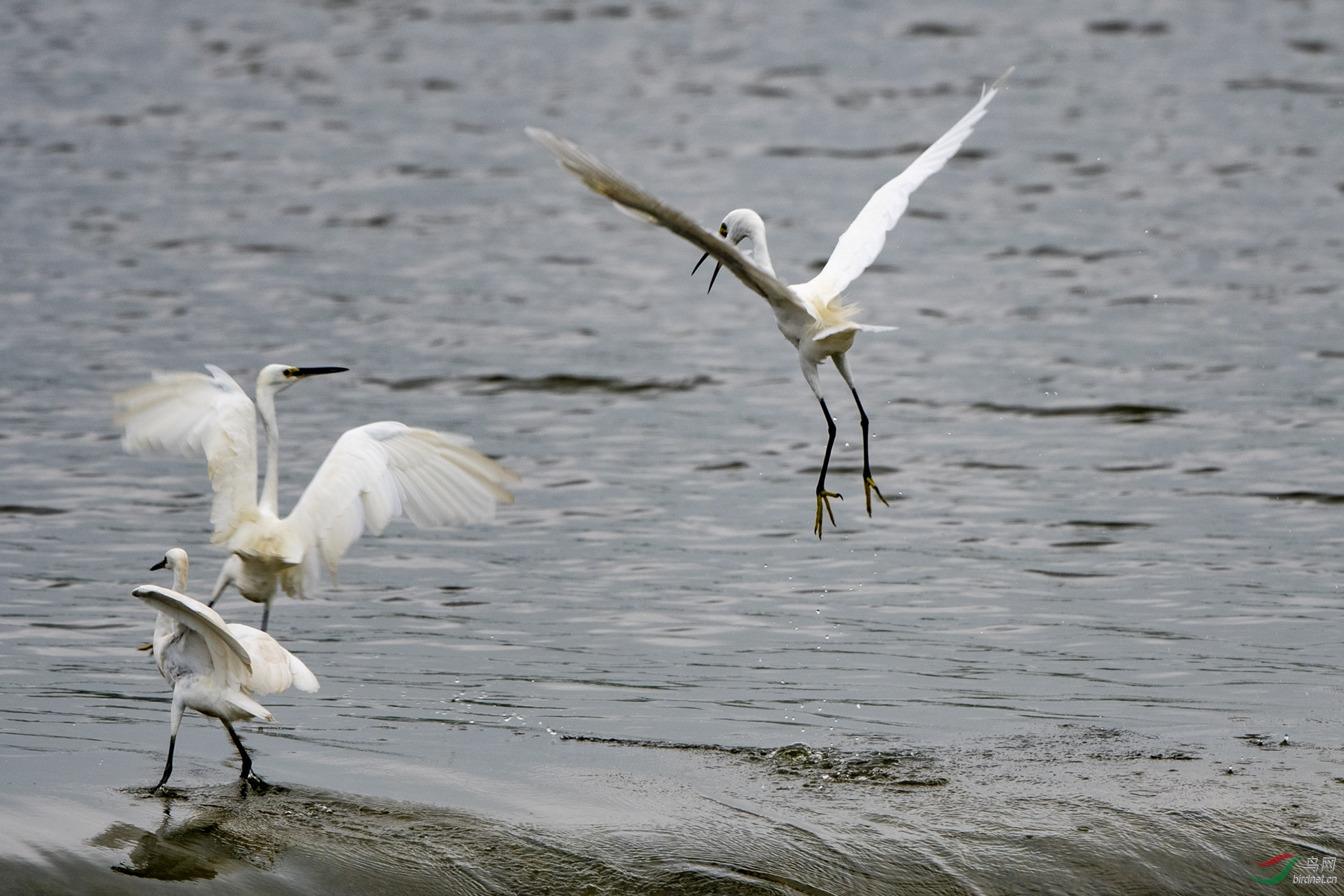 D50_4765.jpg
