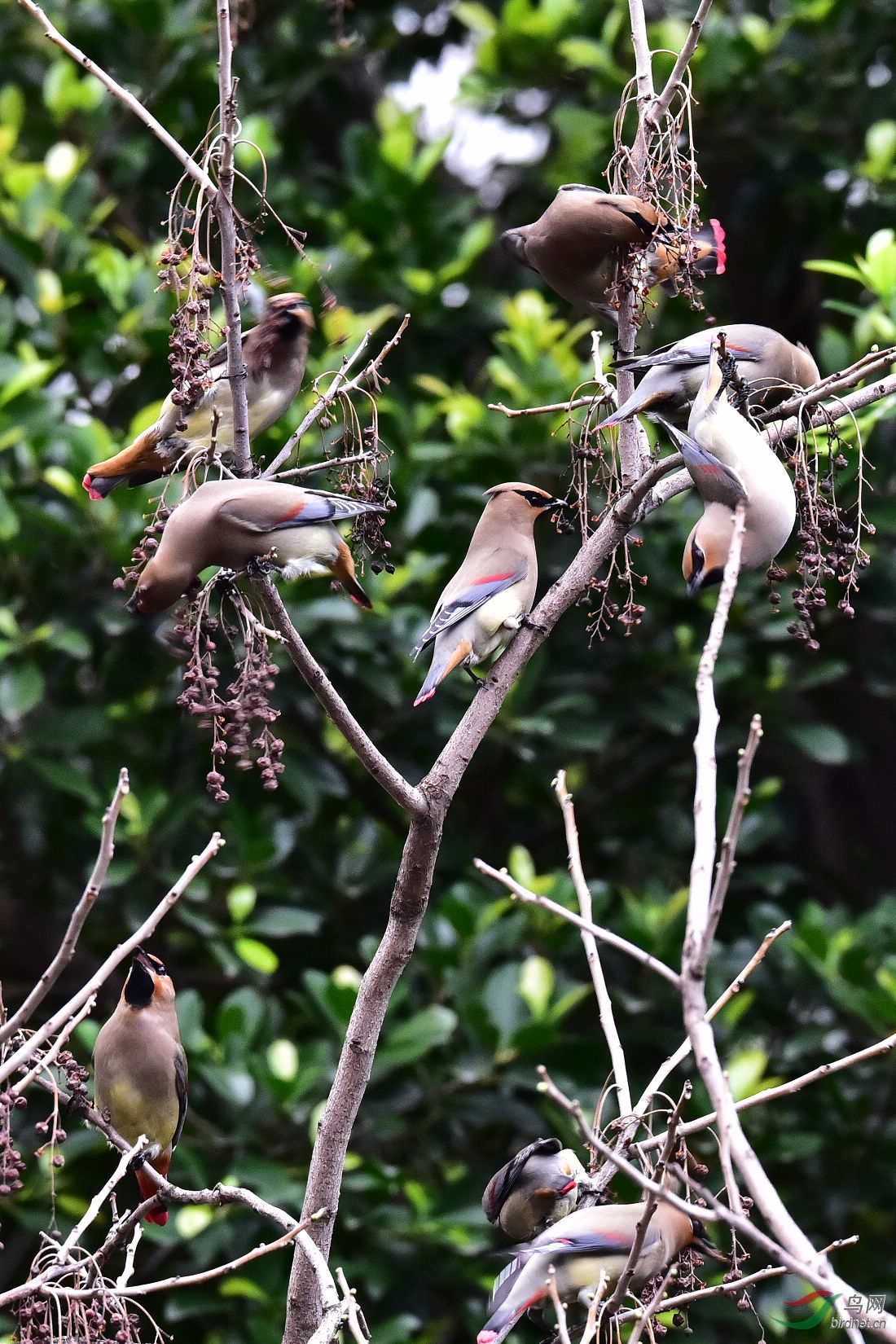 DSC_0540.JPG