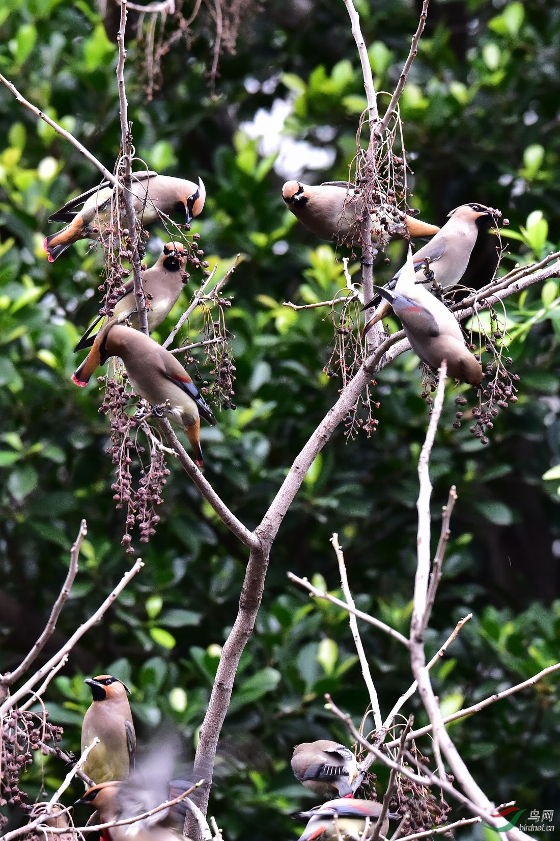 DSC_0542.JPG