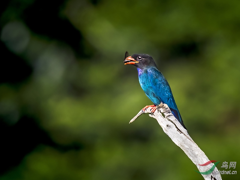 _U8A8586������  �Ͳ�.jpg