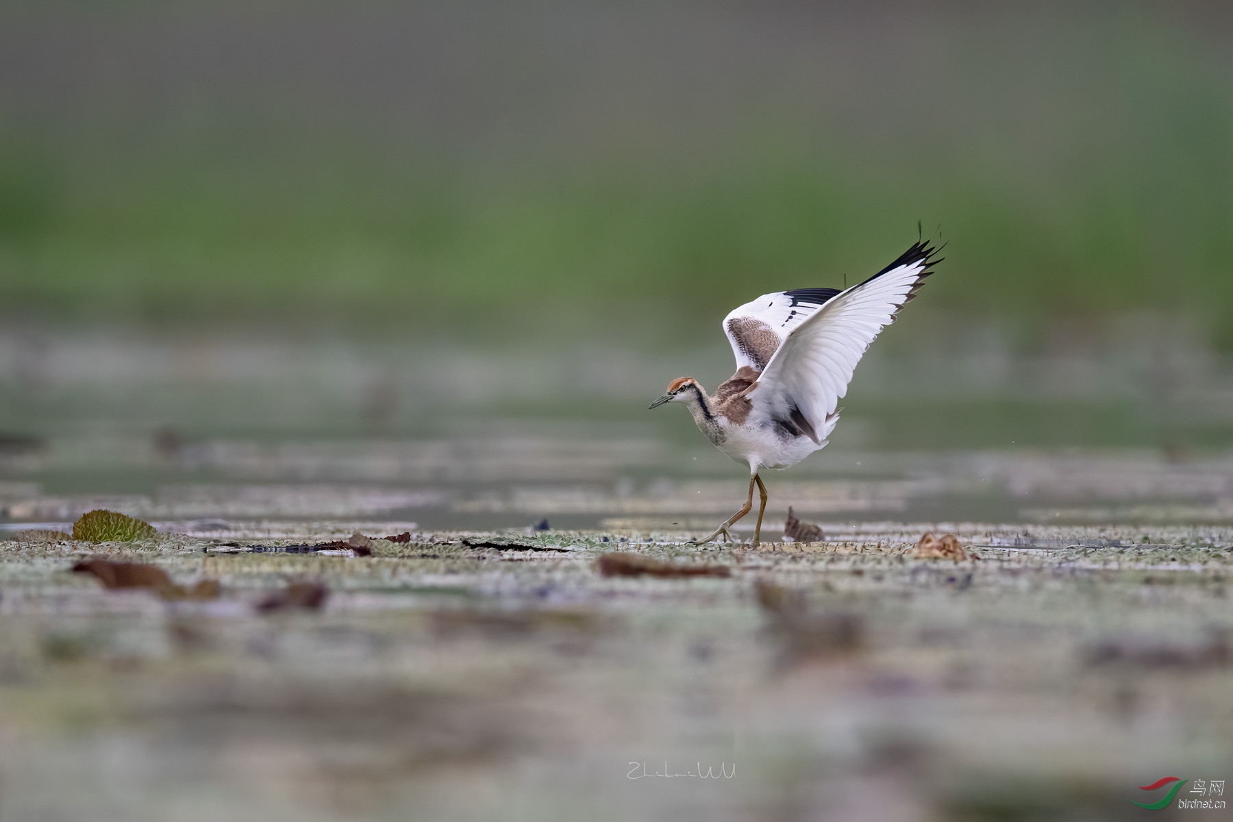 2020-08-31 2344  ����_����.jpg