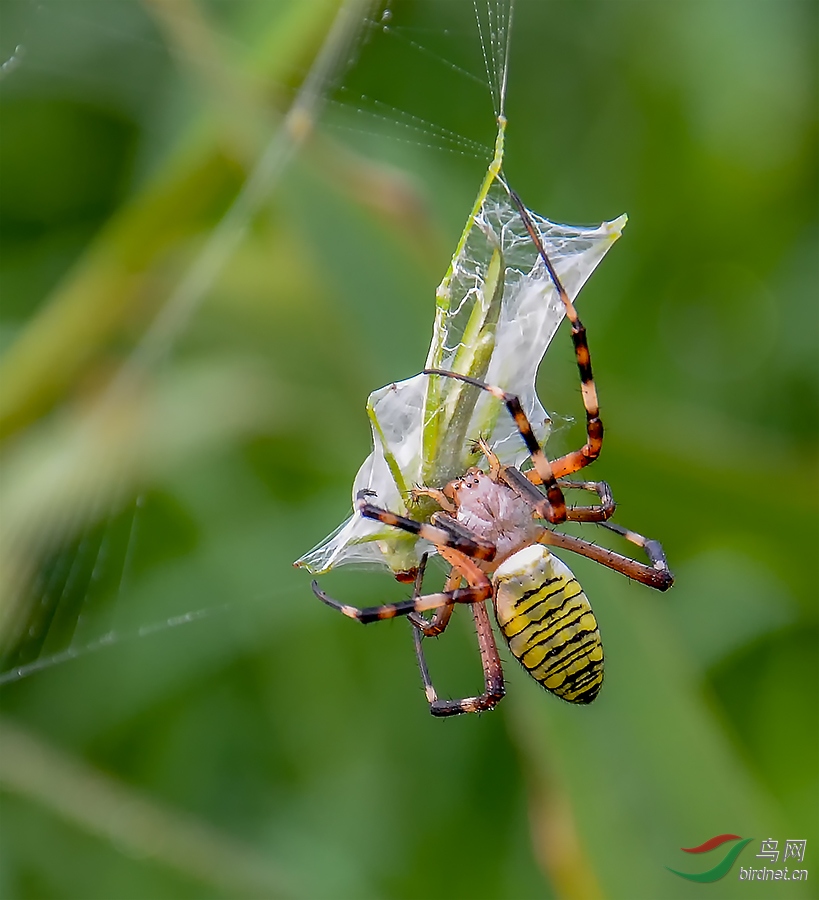 DSC_3845.jpg