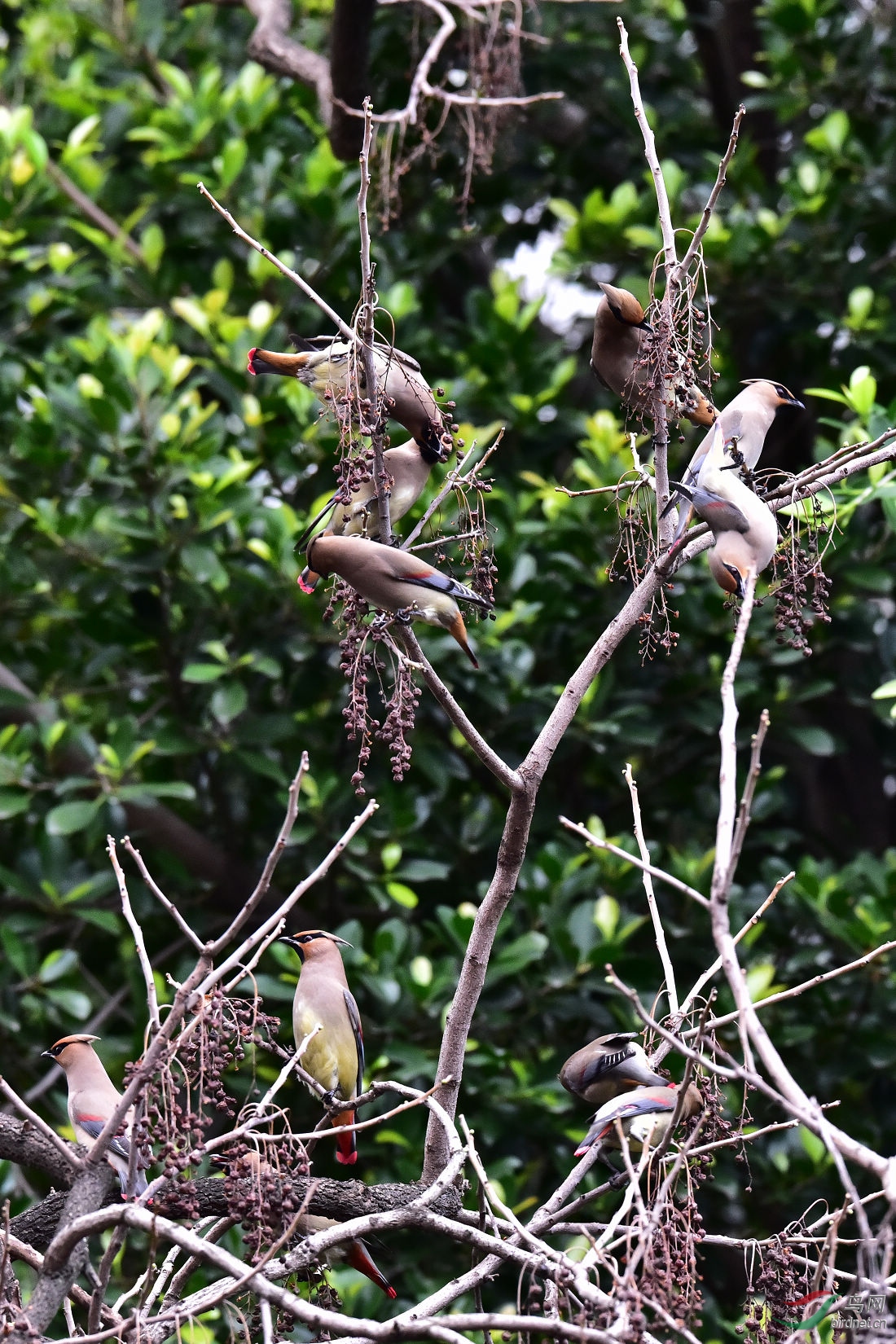 DSC_0543.JPG