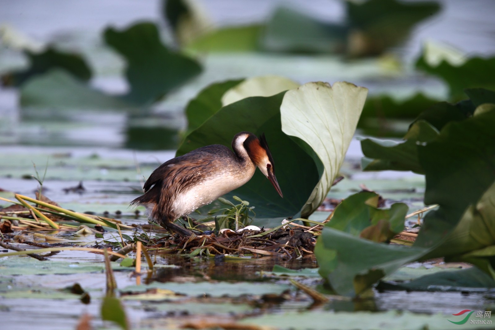 DJ4W2589.JPG