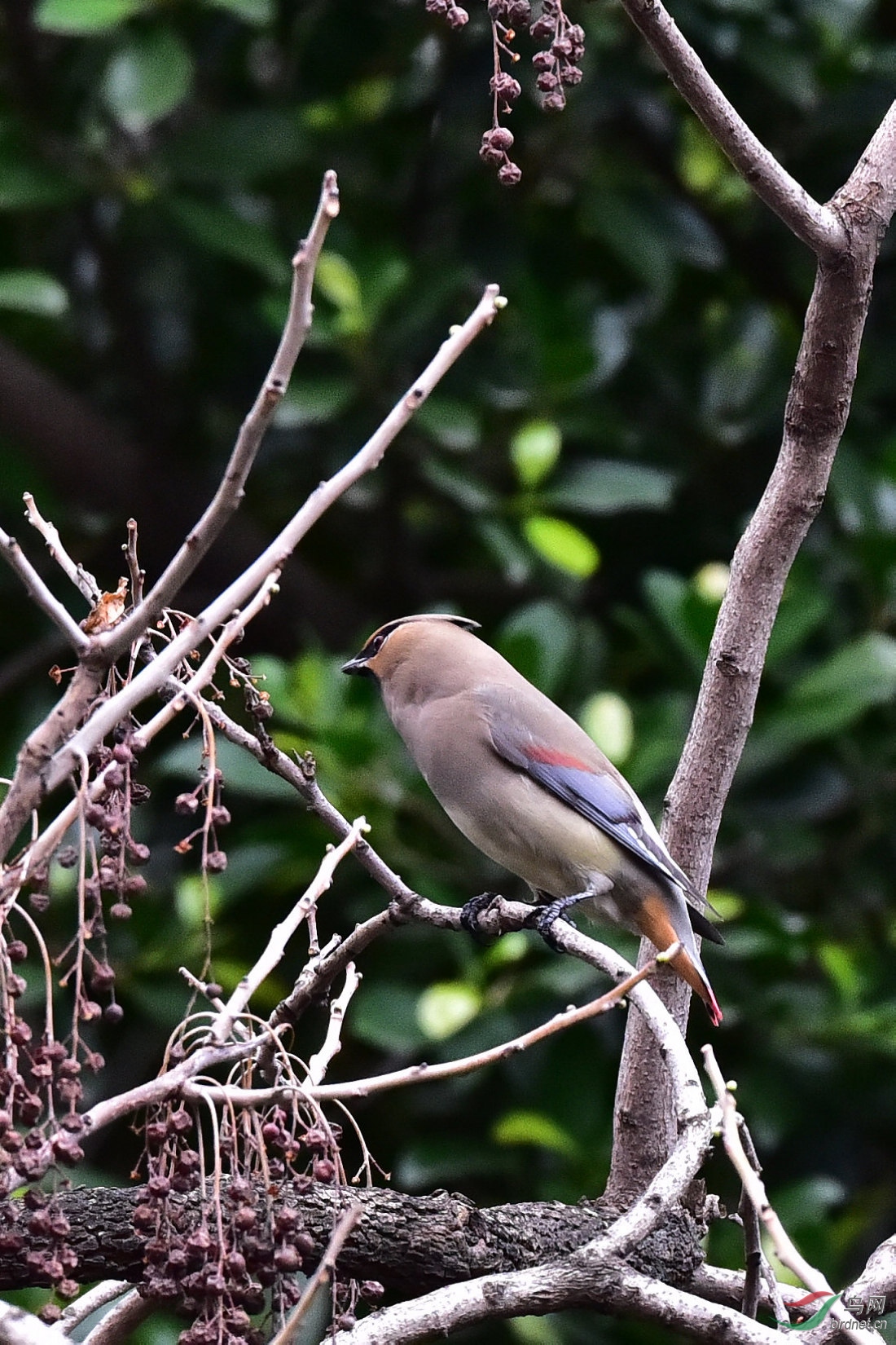 DSC_0552.JPG