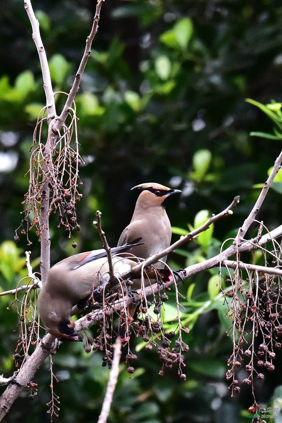 DSC_0554.JPG