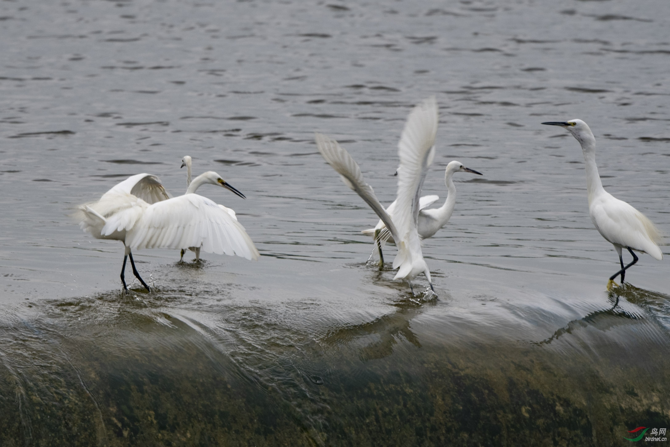 D50_4744.jpg