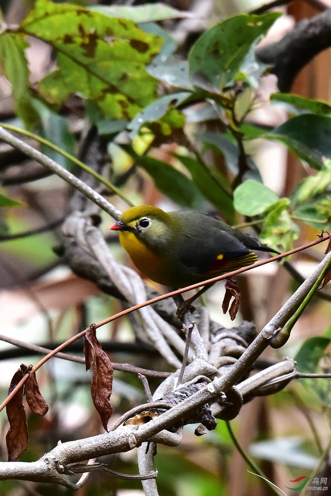DSC_0557.JPG