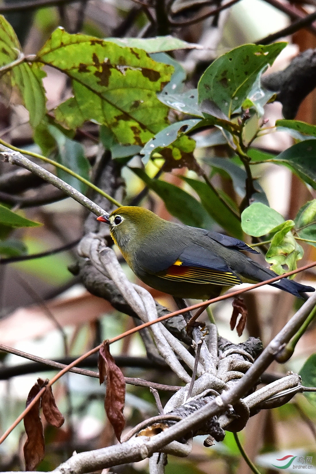 DSC_0560.JPG