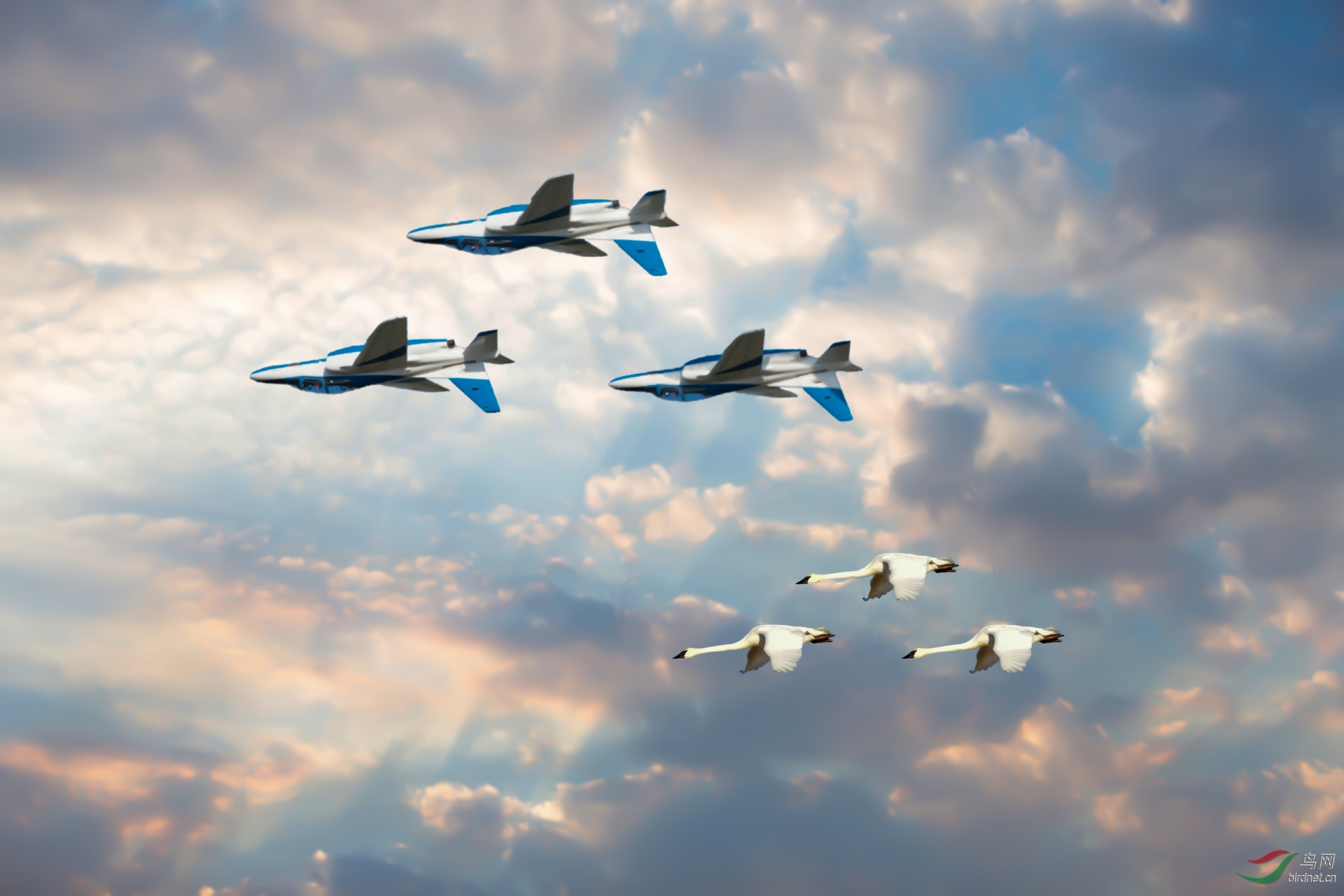 ���֮�ʣ�����Ϊʲô���ܶ��ӳ���� 1920x500k.jpg