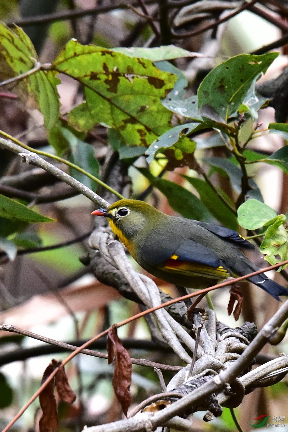 DSC_0561.JPG