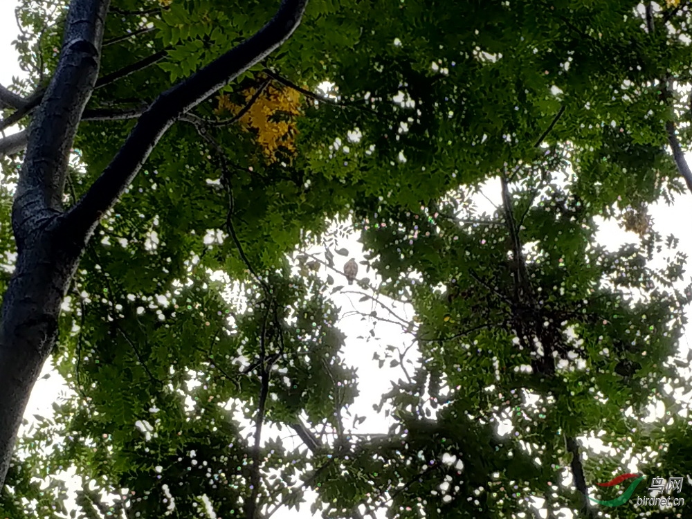 ΢��ͼƬ_20200929180007-1.JPG