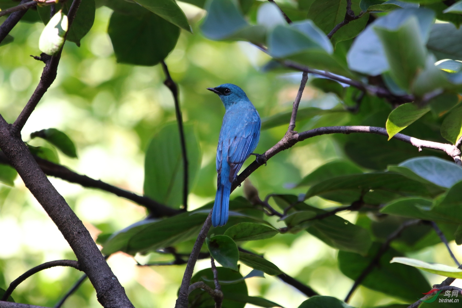 IMG_7617.JPG