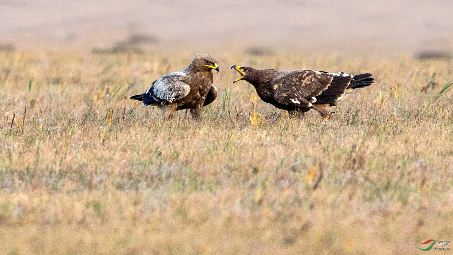 BW4Q8317 - ���� - ���� - ���� - ���� - ���� - ����.jpg