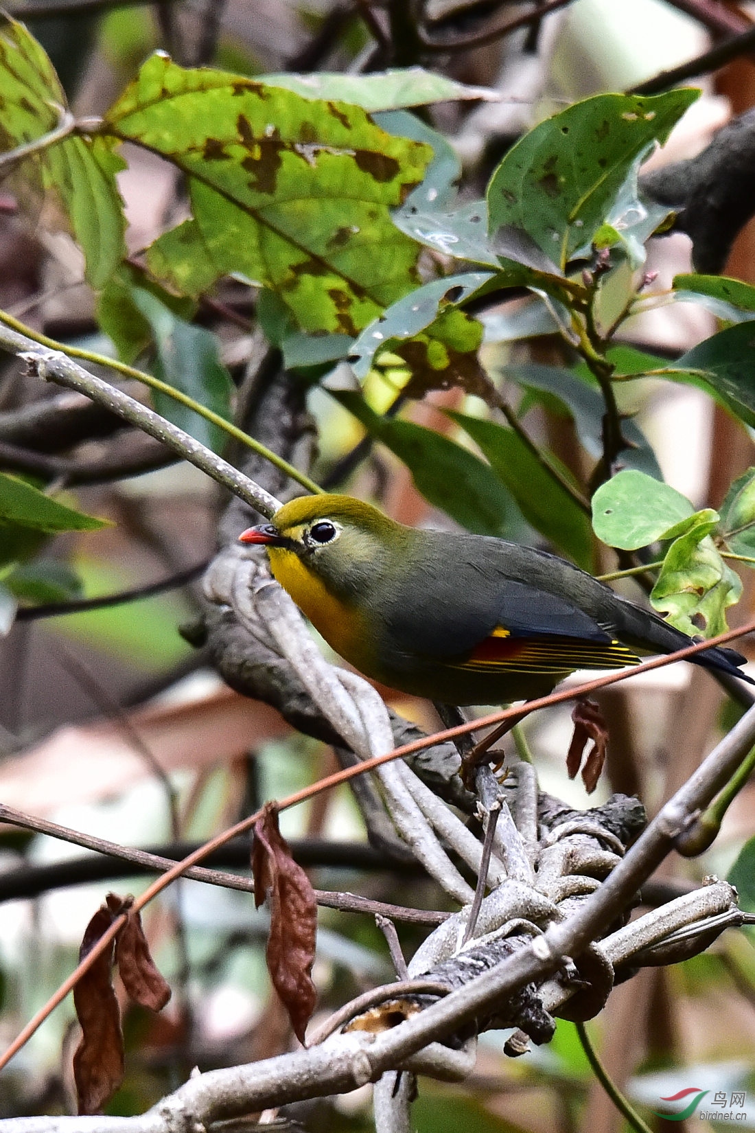 DSC_0563.JPG