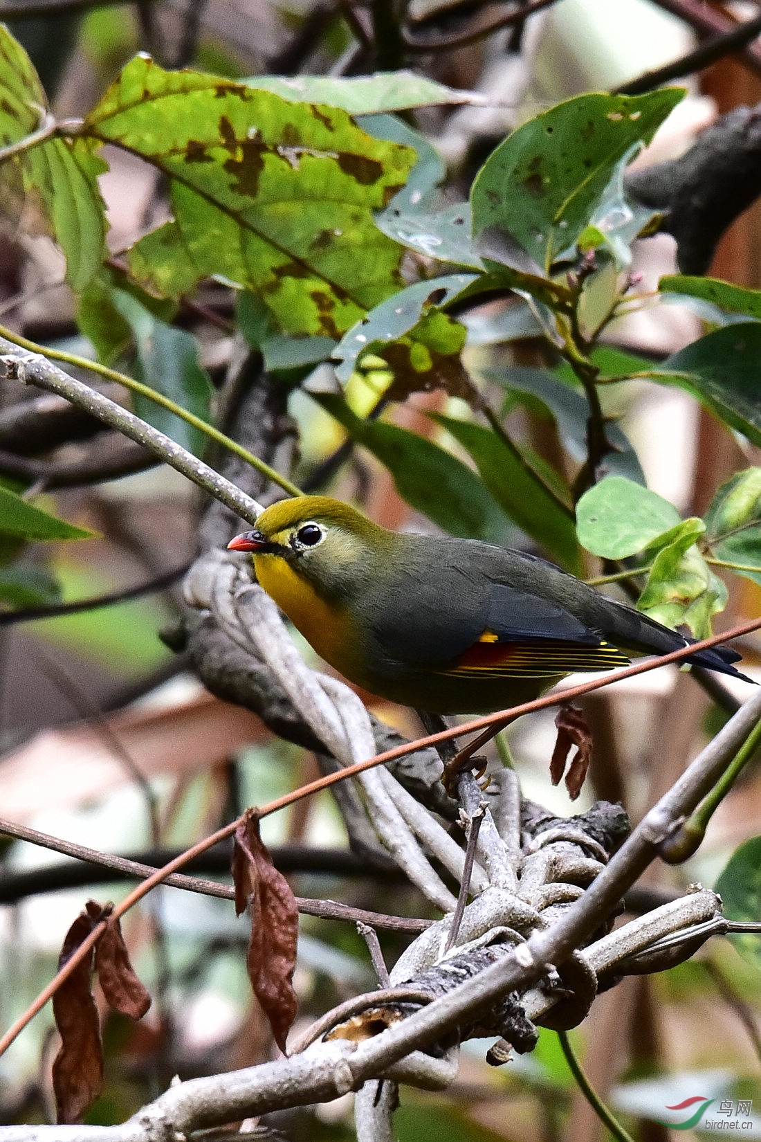 DSC_0564.JPG