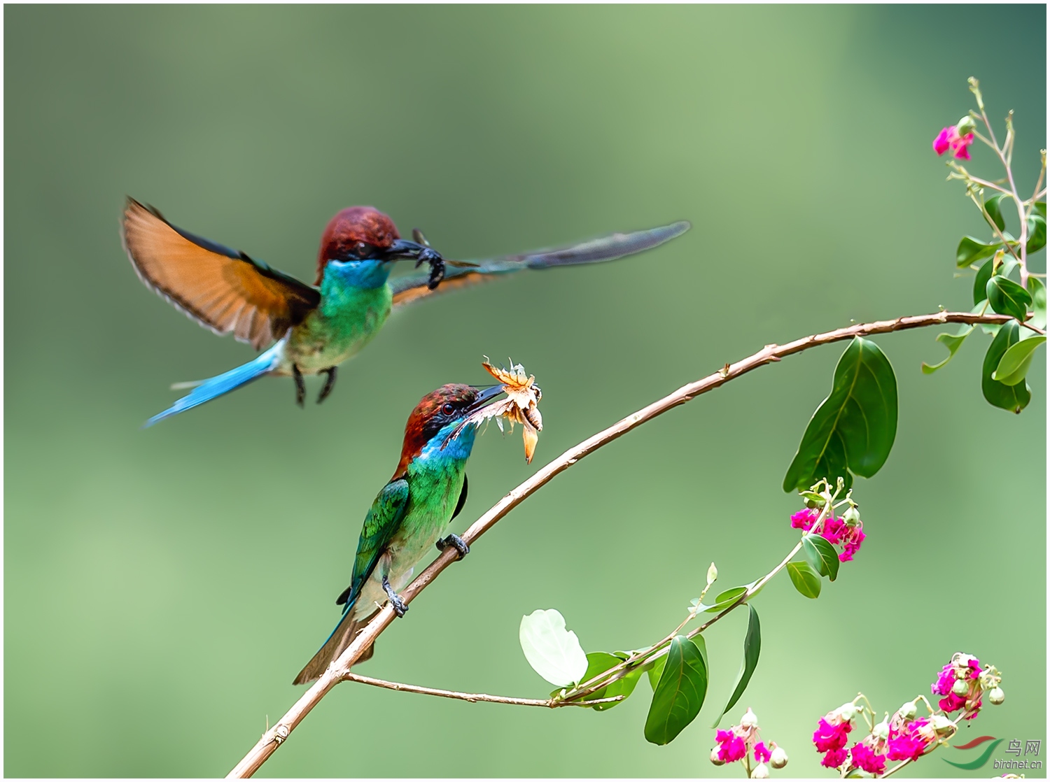 DSC_4324-1SSSSSS.jpg