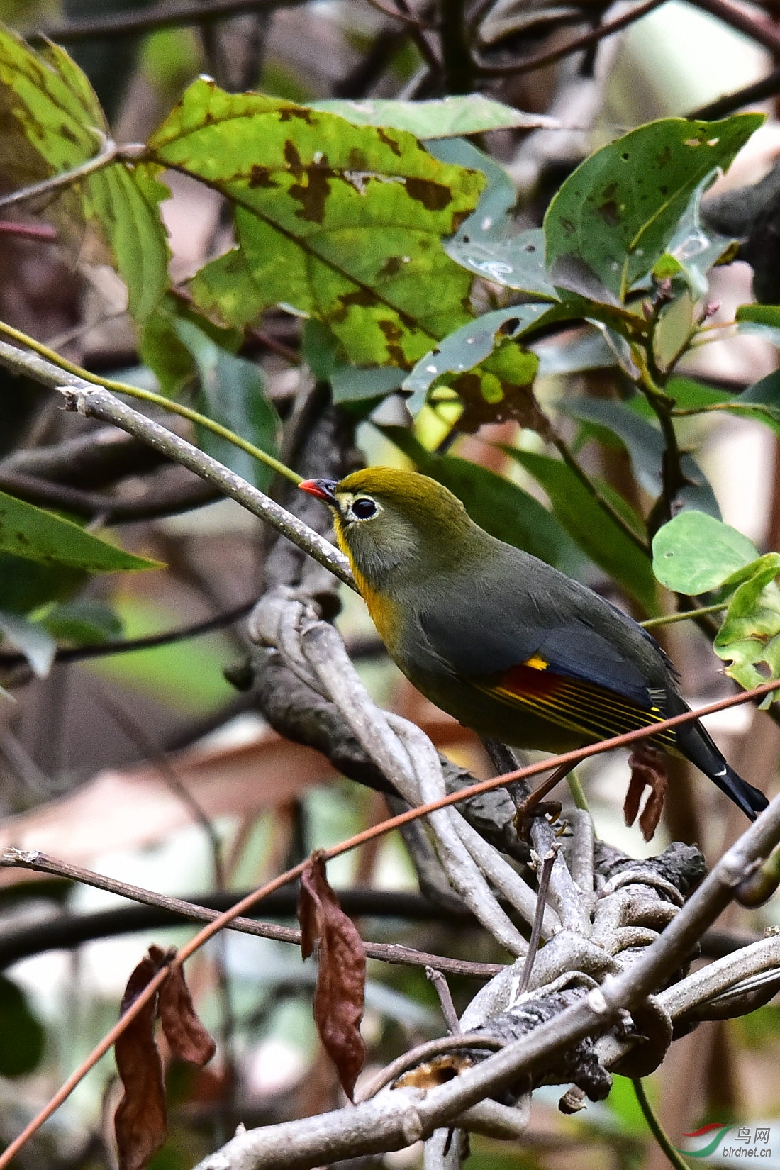 DSC_0566.JPG