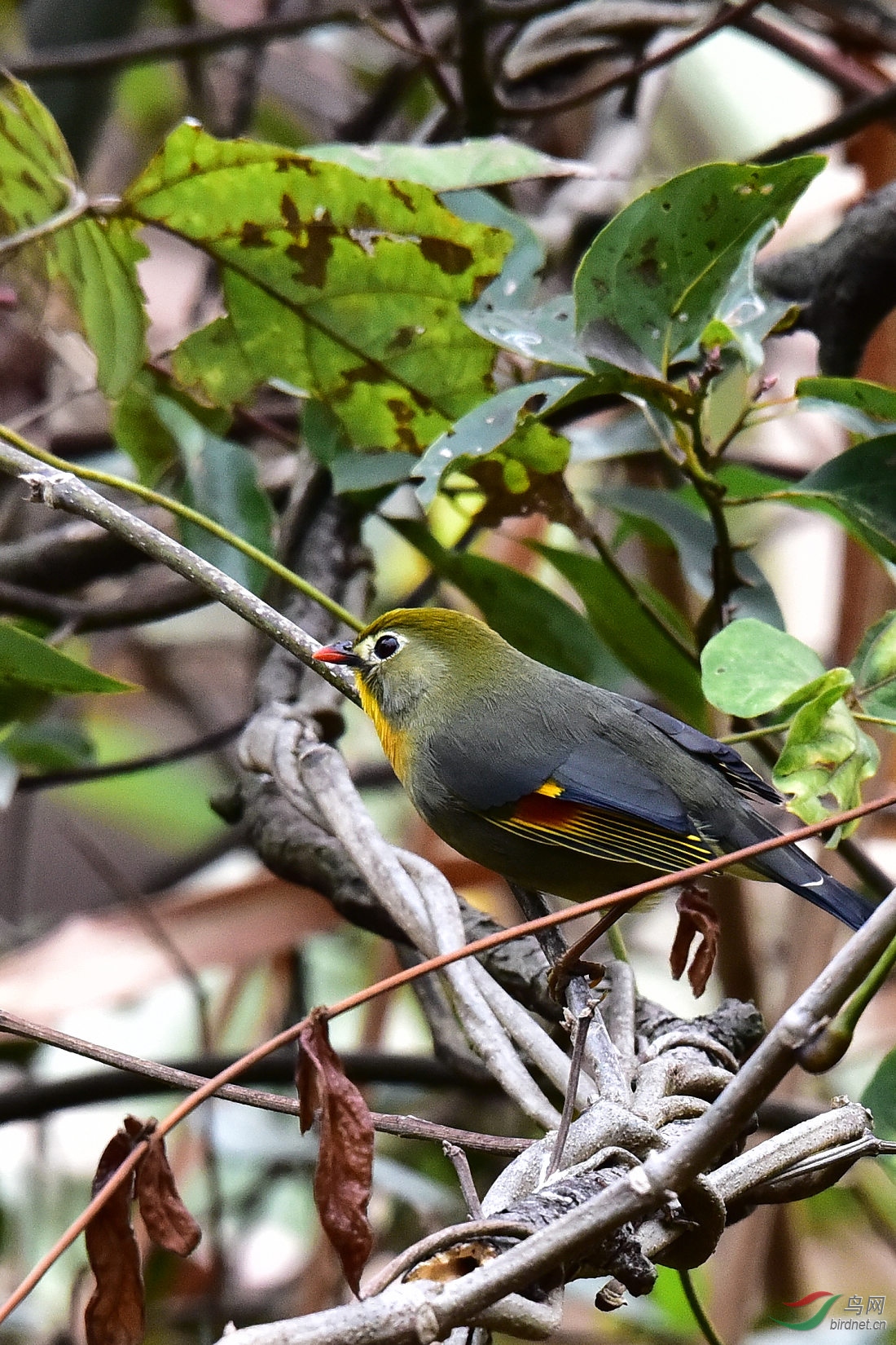 DSC_0568.JPG