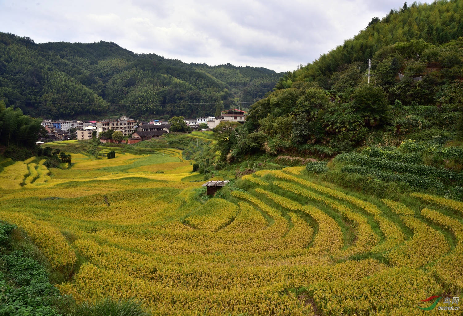 D8I_0619.jpg