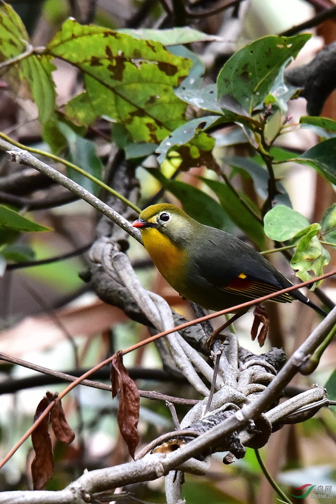 DSC_0571.JPG
