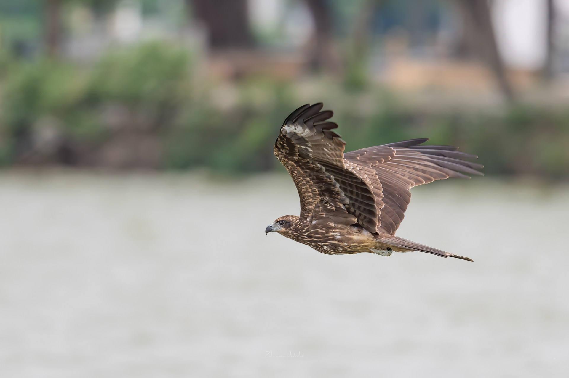 2020-09-30 7148 ����_����.jpg