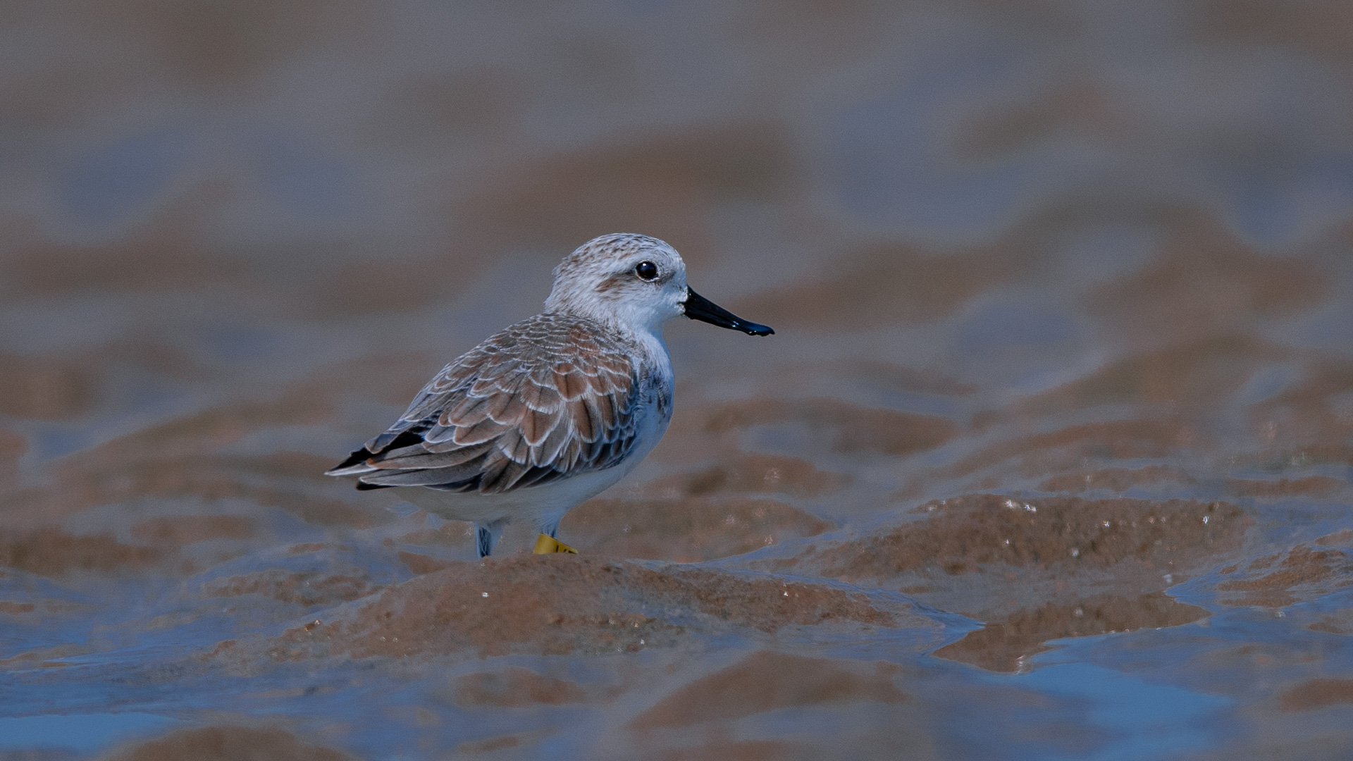 δ���� (1 - 1)-10.jpg