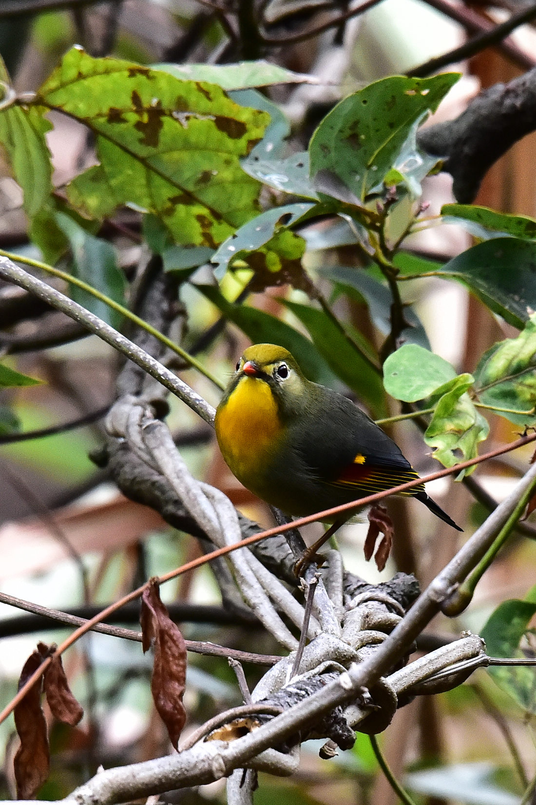 DSC_0578.JPG