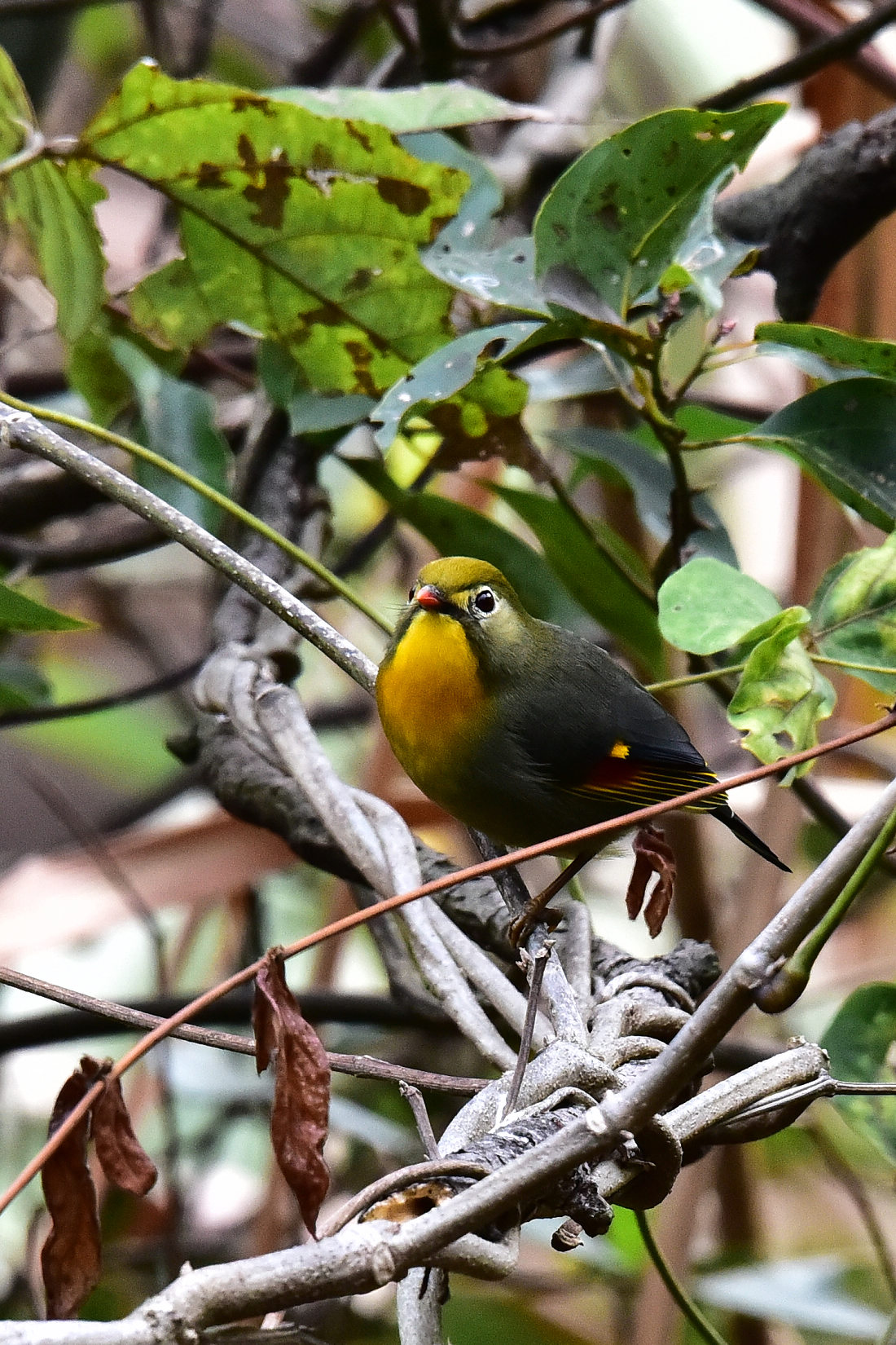 DSC_0579.JPG