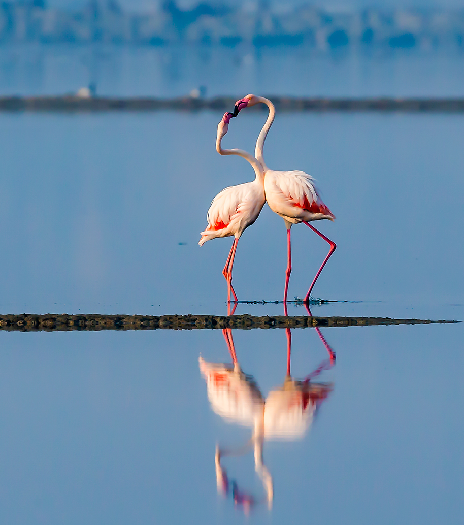 �����ҵ�����