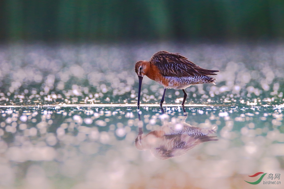 ף��λ��ʦ˫�ڿ��֣�����