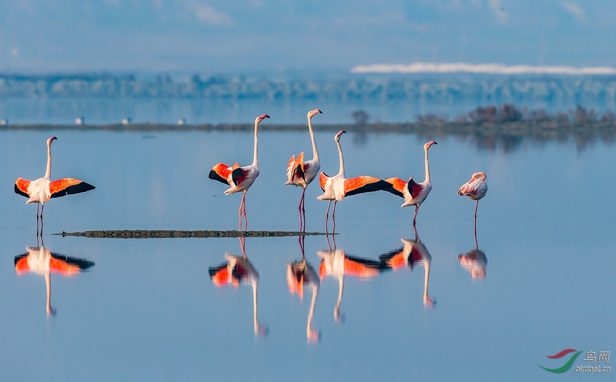 ף��ʦ�ǽ��տ���